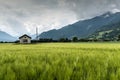 Small rural power station and power lines in midst of a gorgeous farm and mountain landscape