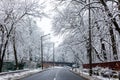 View of small town street in winter. Nyiregyhaza, Hungary