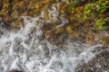 View of small waterfall on river with detail of water foam, rocks and river vegetation Royalty Free Stock Photo