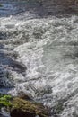 View of small waterfall on river with detail of water foam, rocks and river vegetation Royalty Free Stock Photo