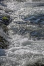 View of small waterfall on river with detail of water foam, rocks and river vegetation Royalty Free Stock Photo