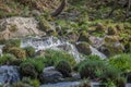 View of small waterfall on river with detail of water foam, rocks and river vegetation Royalty Free Stock Photo