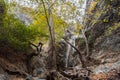 A view of a small waterfall in troodos mountains in cyprus Royalty Free Stock Photo