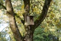 View of a small wooden birdhouse attached on the trunk of a tree