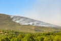 Smoke cloud from forest fire Royalty Free Stock Photo
