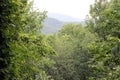 View from Smoky Mountain Cabin Royalty Free Stock Photo