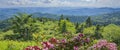 View of the Smoky Mountains from the Blue Ridge Parkway. Royalty Free Stock Photo