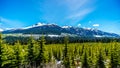 View of the snow capped Coast Mountains along Highway 99, also called The Duffey Lake Road Royalty Free Stock Photo