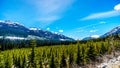 View of the snow capped Coast Mountains along Highway 99, also called The Duffey Lake Road Royalty Free Stock Photo