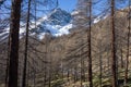 View of the snow-capped peaks of the Val d`Ayas in the Aosta Valley