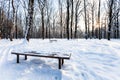 View of snow-covered bench in urban park in winter Royalty Free Stock Photo