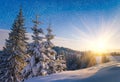 View of snow-covered conifer trees and snow flakes at sunrise. Merry Christmas's or New Year's background. Royalty Free Stock Photo