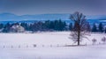 View of snow-covered farm fields and distant mountains from Long Royalty Free Stock Photo