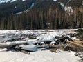 A view of snow covered Lillooet Lake with driftwoods floating on the surface of the lake Royalty Free Stock Photo
