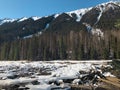 A view of snow covered Lillooet Lake with driftwoods floating on the surface of the lake Royalty Free Stock Photo