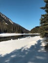 A view of snow covered Lillooet Lake with driftwoods floating on the surface of the lake Royalty Free Stock Photo