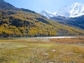 View of snow covered mountain peaks and bharals or blue sheep