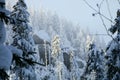 View of the snow-covered Szczeliniec MaÃây in the Table Mountains in Poland.