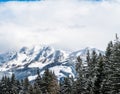 View on snow filled trees ans gletcher in Austria Royalty Free Stock Photo