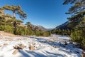 View of snow & mountains at Haut Asco in Corsica Royalty Free Stock Photo