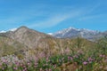 View of snow on the San Gorgonio Mountain from the Mission Creek Preserve in Desert Hot Springs, California
