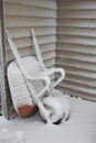 View of snow texture covering a red wheel barrow which has been stored upright Royalty Free Stock Photo