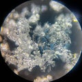 View on snowflake under microscope ocular Royalty Free Stock Photo