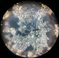 View on snowflake under microscope ocular Royalty Free Stock Photo
