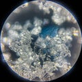 View on snowflake under microscope ocular Royalty Free Stock Photo