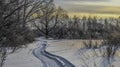 View of a snowy country road Royalty Free Stock Photo