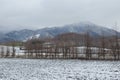 Snowy landscape in Kiyosato.