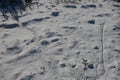 View of a snowy meadow with long snowy human footprints. Drone view creates a pattern of dispersion and paths of human footsteps o