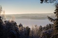 View of snowy trees, frozen lake and forest in winter Royalty Free Stock Photo