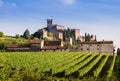 View of Soave (Italy) and its famous medieval castle