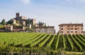 View of Soave (Italy) and its famous medieval castle