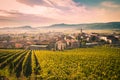 View of Soave Italy surrounded by vineyards