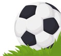 View of soccer ball in the grass field, Vector illustration Royalty Free Stock Photo