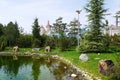 View from the Sochi Park Adventureland in Adler, Russia