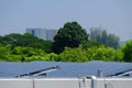 View of solar panels in foreground, lush greenery in the background nature and sustainability