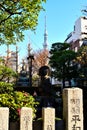 View of some Buddha statues in Asakusa district and in the distance the very high Sky Tree