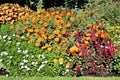 A view of some flowers in a park in London Royalty Free Stock Photo