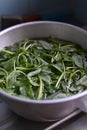 View of some leafy spinach leaves soaking in a steel bowl