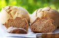 View of some traditional portuguese breads