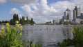 View From The Somerlustpark Park At Amsterdam The Netherlands