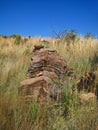 TIERED ROCK WITH LAYER FORMATIONS IN LONG GRASS IN SOUTH AFRICA