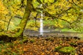 View of South Falls through a moss covered tree and autumn leave Royalty Free Stock Photo