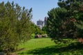 South Loop Buildings Framed by Two Trees at Ping Tom Memorial Park in Chinatown Chicago Royalty Free Stock Photo