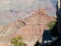 Rim trail Grand Canyon View Royalty Free Stock Photo