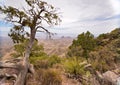View from South Rim Trail in Big Bend National Park Royalty Free Stock Photo