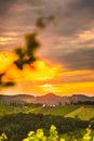 View at South Styria Vineyard fields in sunset sun in summer. Eckberg Tourist destination Royalty Free Stock Photo